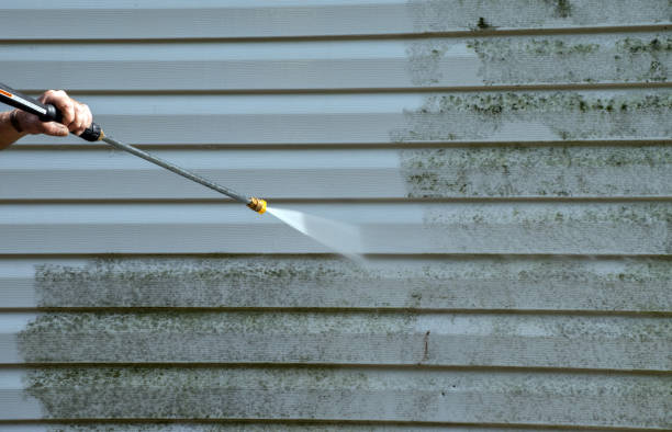 Best Solar Panel Cleaning  in Pleasant Run Farm, OH